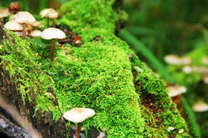 世界保龄球场馆夜场营销指南发布：提升复玩率与留存，保龄球馆挣钱吗