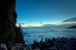 世界举重锦标赛赛场医疗康复中心获赞，世界举重锦标赛2020